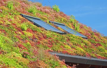 Hemingford Grey living roof systems